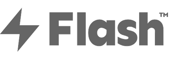 image of flash logo